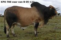 KPO 786 vaar van B 05-123