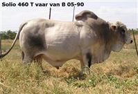 Solio 460T vaar van B 05-90