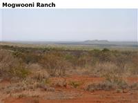MogwooniRanch