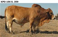 KPO156S.359