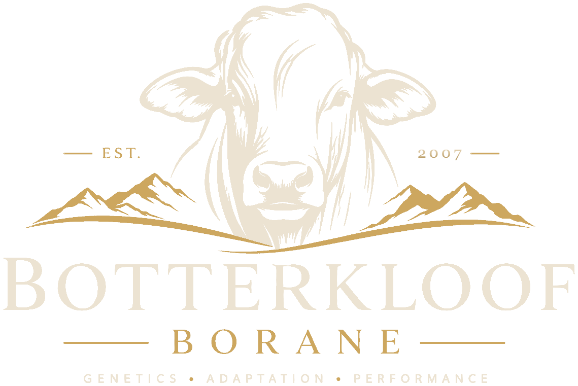 Botterkloof Borane