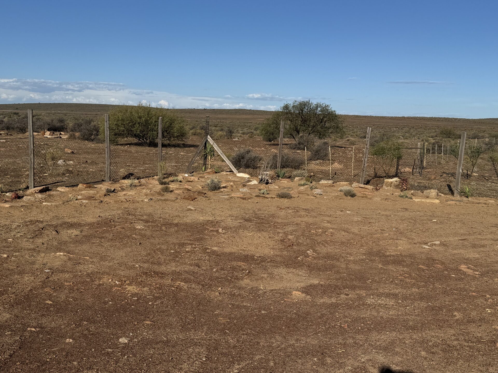 The Karoo veld