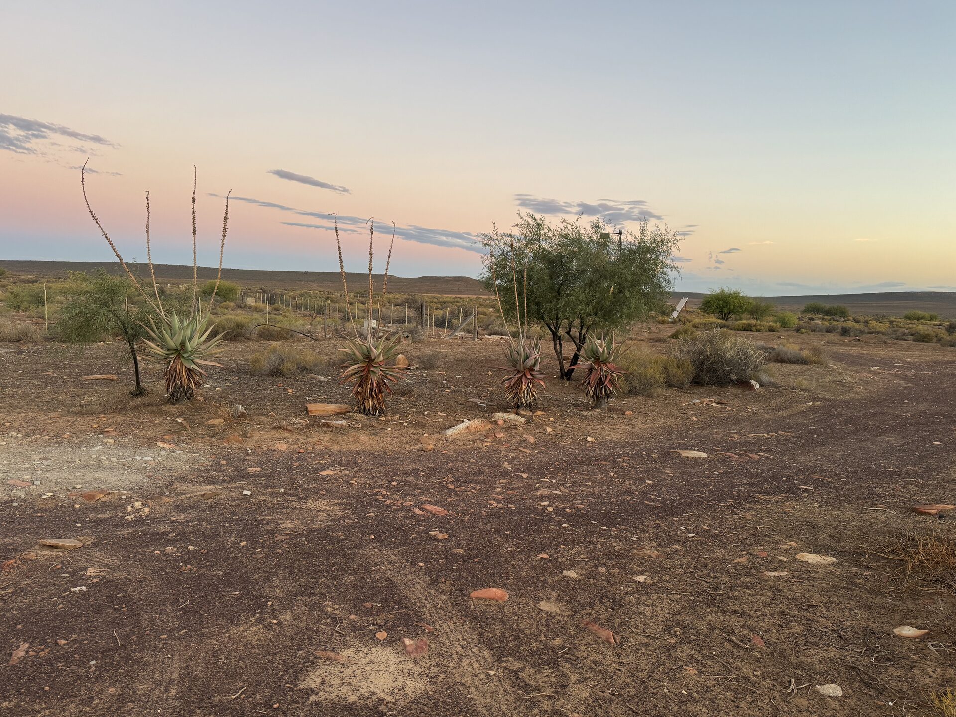 The Great Karoo at dusk