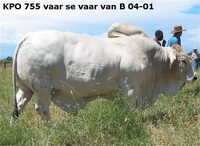 KPO 755 vaar se vaar van B 04-001
