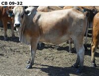 CB09-32